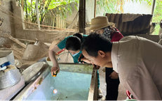 Sốt xuất huyết tại Huế tăng, ngành y tế cảnh báo bước vào cao điểm dịch
