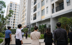 Có được mua nhà ở xã hội ở tỉnh khác không?