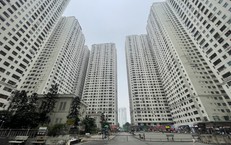Đề xuất nhiều ưu đãi phát triển nhà ở cho thuê