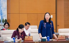 Cử tri lo ngại hàng giả, điểm thi Toán bất thường và tai nạn đường thủy