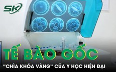 Tế bào gốc 'chìa khóa vàng' của y học hiện đại