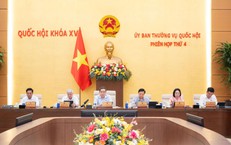 Đề xuất cấm kinh doanh khí N2O ngoài mục đích y tế để bảo vệ sức khỏe cộng đồng