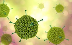 Biểu hiện khi trẻ mắc Adenovirus: Cha mẹ cần nhận biết sớm để phòng biến chứng