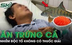 Người đàn ông 45 tuổi nhiễm phải độc tố không có thuốc giải sau khi ăn trứng cá chép