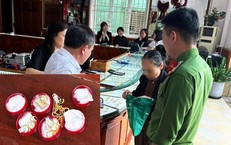 Cụ bà 70 tuổi đi bán 19 chỉ vàng vì tin lời 'công an'