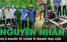 Điều tra toàn diện vụ 5 người tử vong ở trang trại lợn tại Thanh Hóa