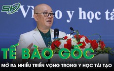 Tế bào gốc mở ra nhiều triển vọng trong y học tái tạo 