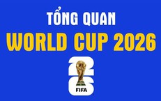 Tổng quan World Cup 2026