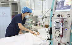 Cứu sống bé trai 15 tháng tuổi nguy kịch sau khi bị ong vò vẽ đốt 60 nốt trên cơ thể