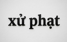 Cục trưởng 3 Cục thuộc Bộ Y tế được phạt vi phạm thể thao đến 50 triệu đồng