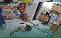 Ông nội qua đời, các cháu đến nhà vẫn quen miệng: ‘Thưa nội, con mới tới...’, ai xem cũng nghẹn ngào