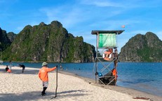 Khoảnh khắc người cứu hộ khống chế rắn tại bãi tắm khiến nhiều người nín thở