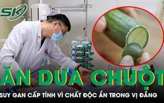 Ăn nửa quả dưa chuột tự trồng người đàn ông suy gan cấp tính vì chất độc ẩn trong vị đắng