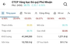 Hơn 41 triệu cổ phiếu được giải cứu, PNJ vẫn 'nằm sàn'