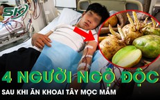 4 người ngộ độc, một phụ nữ tử vong sau khi ăn canh khoai tây mọc mầm 