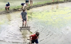 Hài hước cảnh khách Tây lội ruộng, ‘kéo cày thay trâu’ trên ruộng bậc thang ở Lào Cai, dân mạng thích thú: ‘Du lịch thế này mới đáng nhớ chứ!’