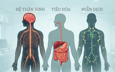 Ảnh hưởng của ô nhiễm thủy ngân với sức khỏe con người