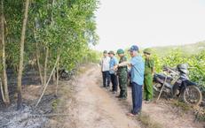 Huế xử lý nhiều vụ vi phạm quy định về phòng cháy, chữa cháy rừng