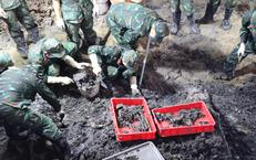 TPHCM: Nghi vấn có mộ tập thể liệt sĩ tại khu vực Gò Cát phường Lái Thiêu