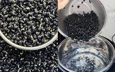 Những sai lầm khi uống nước đậu đen làm tăng gánh nặng cho thận