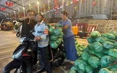Những chuyến xe chở bắp cải phát miễn phí trước bão số 1 