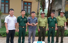 Loài động vật quý hiếm bọc giáp đầy mình lạc vào nhà dân