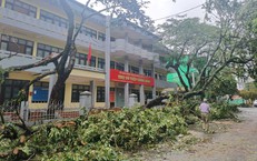 Quảng Ninh khắc phục hậu quả sau bão số 1