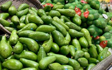 Tiểu thương bật mí cách chọn bơ chín đều, dẻo mịn, không sợ đắng