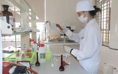 Đề xuất siết điều kiện sản xuất, lưu thông chế phẩm diệt côn trùng, diệt khuẩn
