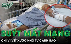 Vết xước nhỏ từ cành rào khiến người đàn ông 65 tuổi nguy kịch vì uốn ván 