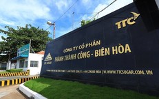 Công ty Cổ phần Thành Thành Công - Biên Hòa vi phạm chứng khoán