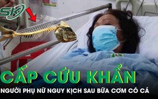 Người phụ nữ nguy kịch phải cấp cứu khẩn sau bữa cơm có cá