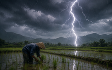 Người đàn ông 31 tuổi bị sét đánh tử vong khi đang làm ruộng ở Lào Cai