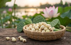 8 thực phẩm giúp kiện tỳ, cải thiện tiêu hóa và tăng hấp thu dinh dưỡng