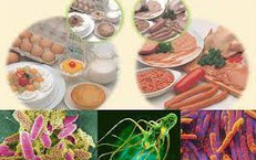 Bộ Y tế yêu cầu khẩn trương điều tra vụ gần 40 học sinh nghi ngộ độc thực phẩm tại Đắk Lắk