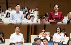 ĐBQH thảo luận về phạm vi bồi thường thiệt hại trong quản lý thuế