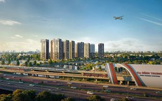 Công ty Cổ phần Bluemarq Development vi phạm chứng khoán