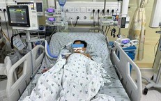 Ăn thịt chuột đồng một tuần, 3 trẻ rối loạn đông máu, một bé phải thở máy