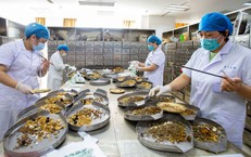 Bộ Y tế yêu cầu siết quản lý y, dược cổ truyền, ngăn hàng giả, thuốc kém chất lượng, hành nghề trái phép