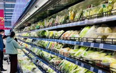 Rau quả Việt Nam 'chinh phục' kỉ lục mới, trong một tháng vượt 1 tỷ USD