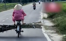 Hú hồn cảnh người phụ nữ ung dung chở mía chắn ngang đường, mặc cho ô tô bấm còi