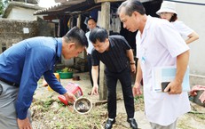 Hà Tĩnh ghi nhận 11 ca sốt xuất huyết, tăng cường khoanh vùng dập dịch