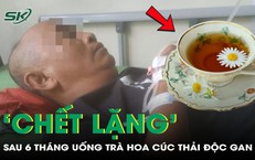 Uống trà hoa cúc mỗi ngày để thải độc gan, người đàn ông ‘chết lặng’ với kết quả sau 6 tháng