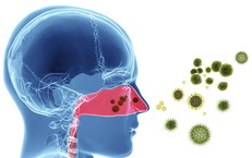 Bệnh hô hấp ở trẻ em mùa tựu trường, cha mẹ cần lưu ý gì?