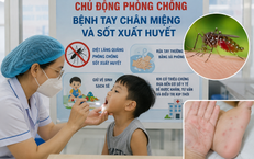 Dịch tay chân miệng và sốt xuất huyết tại Lâm Đồng diễn biến phức tạp
