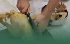 Chàng Tây lần đầu chặt gà luộc, dân mạng cười: “Thế này sao làm rể Việt Nam?”