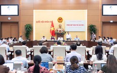 Đề xuất thu hồi phần đất còn lại khi đạt ngưỡng 75% khi sửa Luật Đất đai