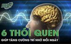 6 thói quen đơn giản giúp tăng cường trí nhớ mỗi ngày 
