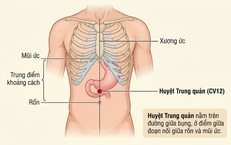 Xoa bóp bấm huyệt hỗ trợ người bệnh dạ dày