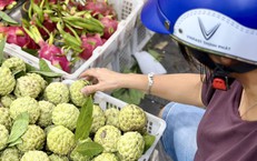 Tiểu thương bật mí na Đồng Bành bán đầy thị trường với giá rẻ như cho